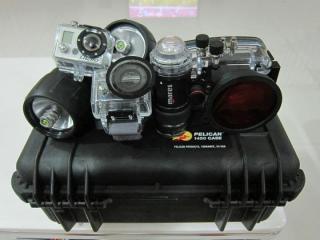 Canon2470-4L's Avatar